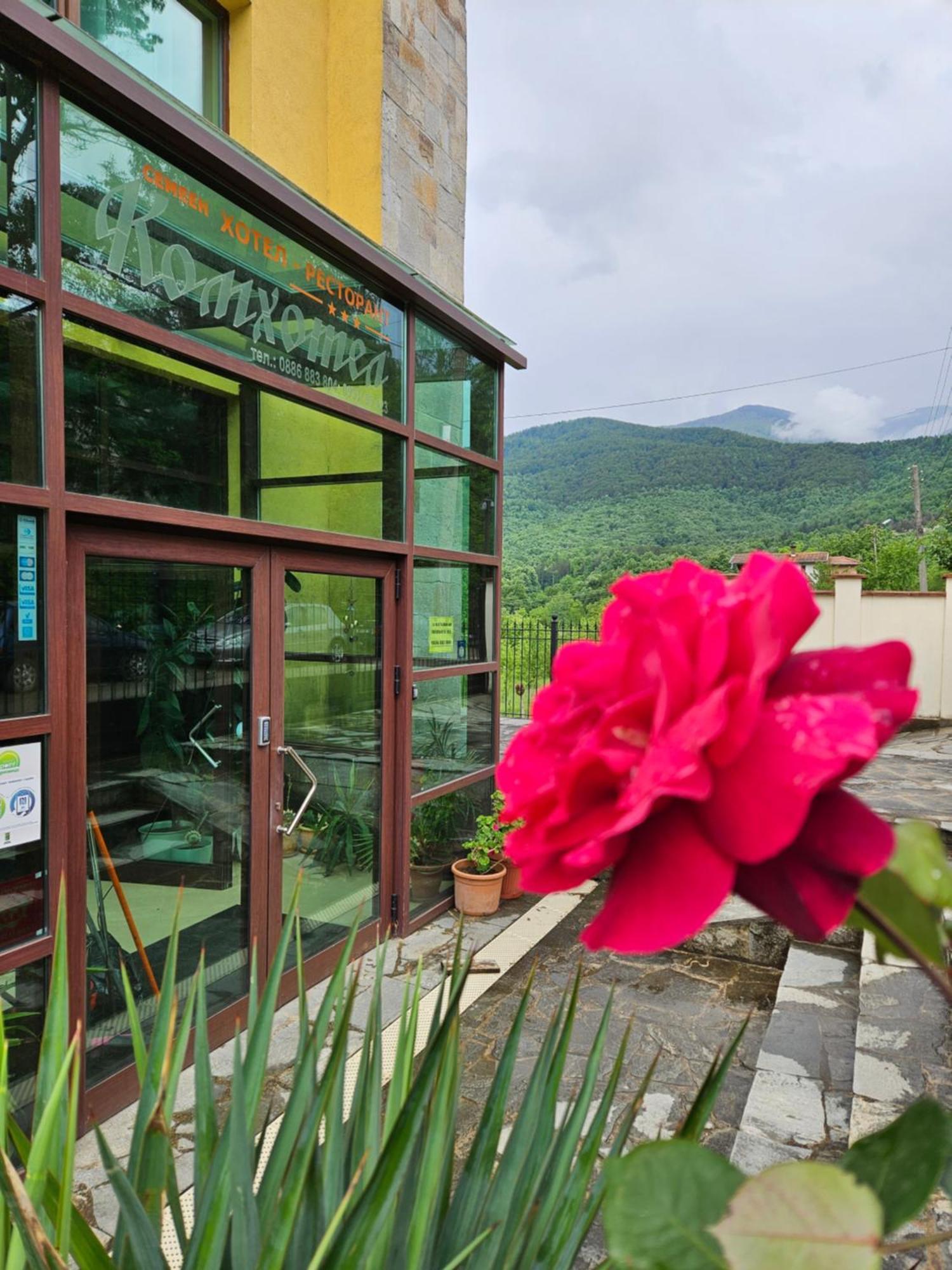 Family Hotel Komhotel Берковиця Екстер'єр фото
