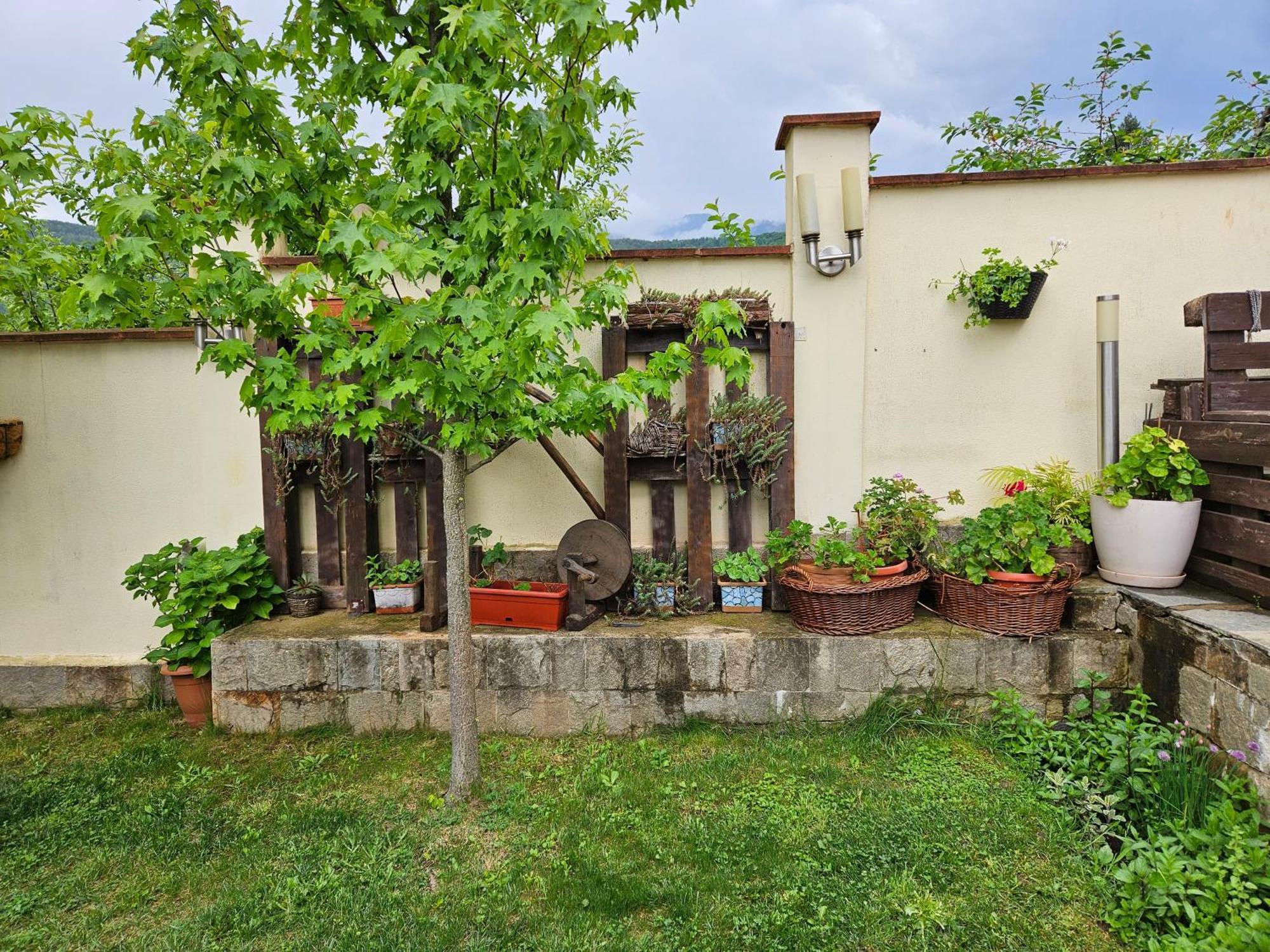 Family Hotel Komhotel Берковиця Екстер'єр фото